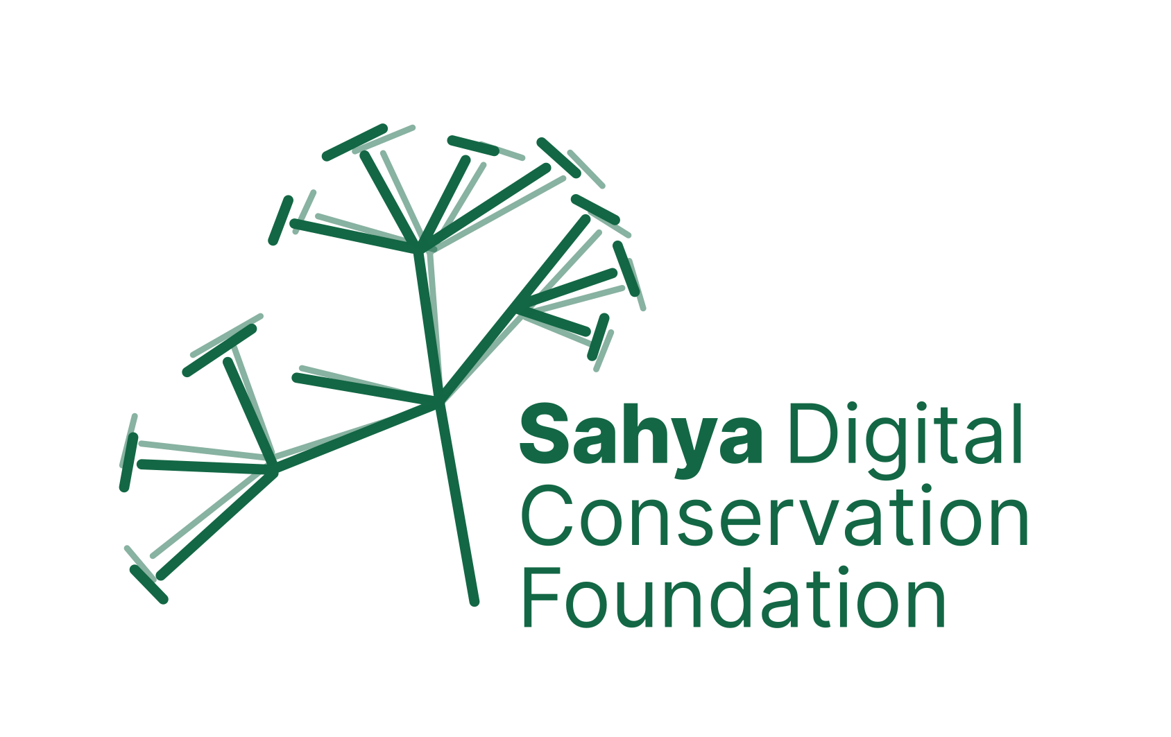 Sahya Digital Conservation Foundation